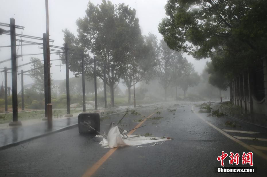 台风“贝碧嘉”登陆上海 申城市区狂风骤雨