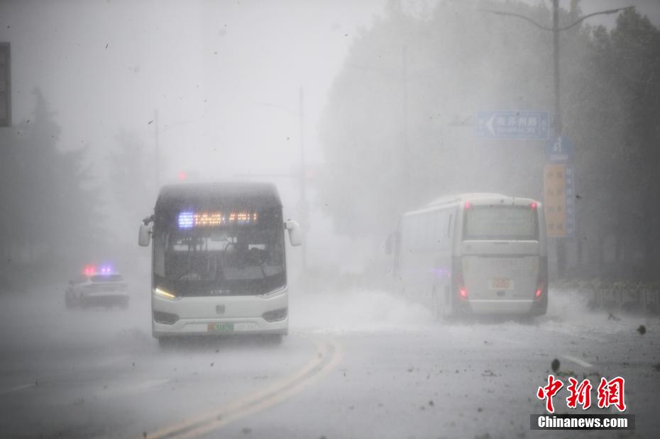 台风“贝碧嘉”登陆上海 申城市区狂风骤雨