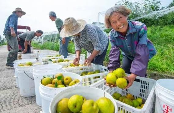 重庆120个村开展强村富民综合改革试点