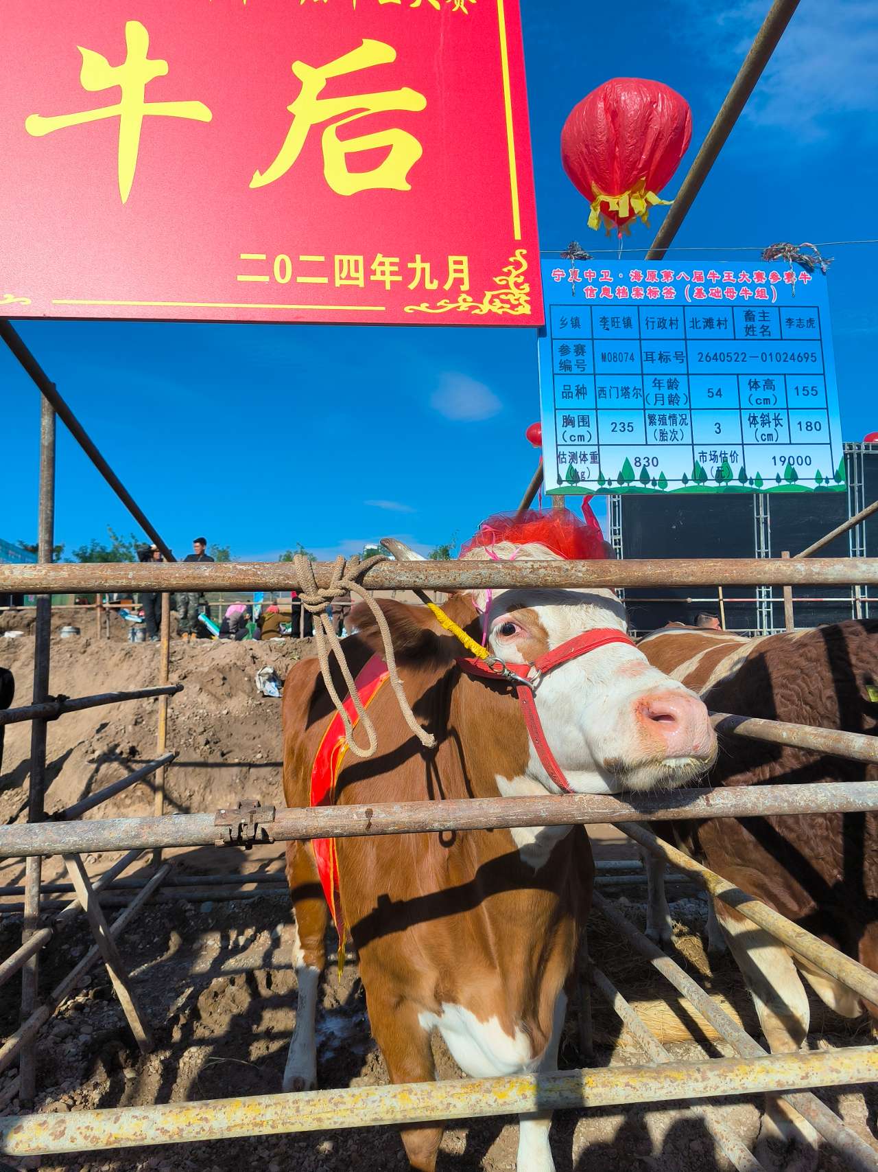 宁夏中卫：特色产业助力乡村越来越“牛”