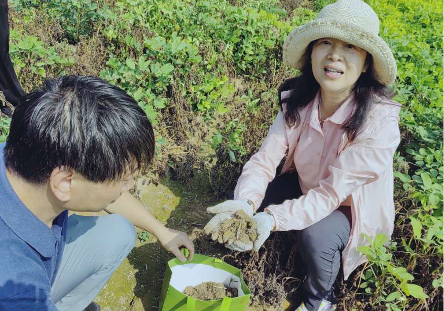 河南农业大学教授殷冬梅：躬耕“花生”三十载 扎根农田为科研