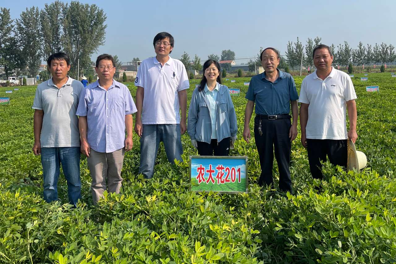 河南农业大学教授殷冬梅：躬耕“花生”三十载 扎根农田为科研