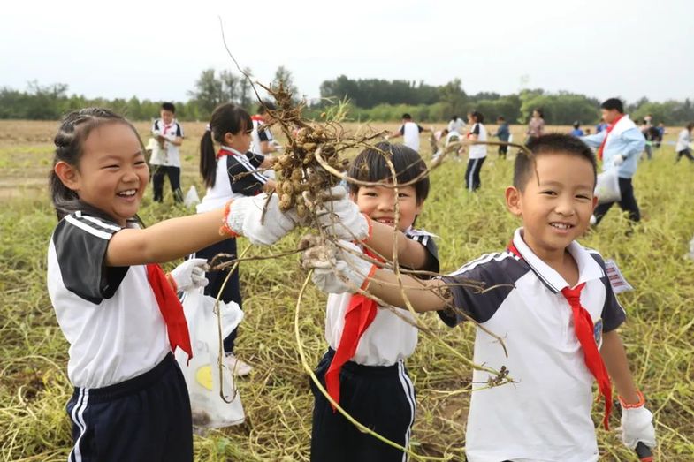 万物生长，绽放生命之光，2024年金盏地区小田长活动圆满闭幕（附有奖问答）