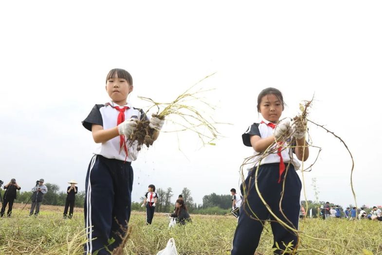 万物生长，绽放生命之光，2024年金盏地区小田长活动圆满闭幕（附有奖问答）