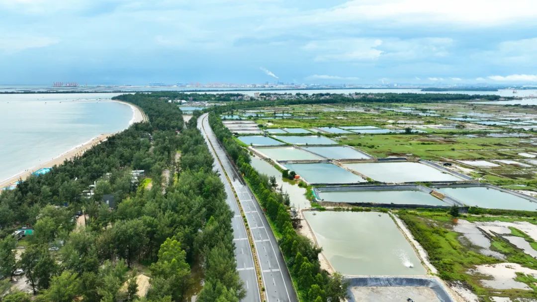 跨越山海 连通未来——广西全力建设人民满意的壮美公路