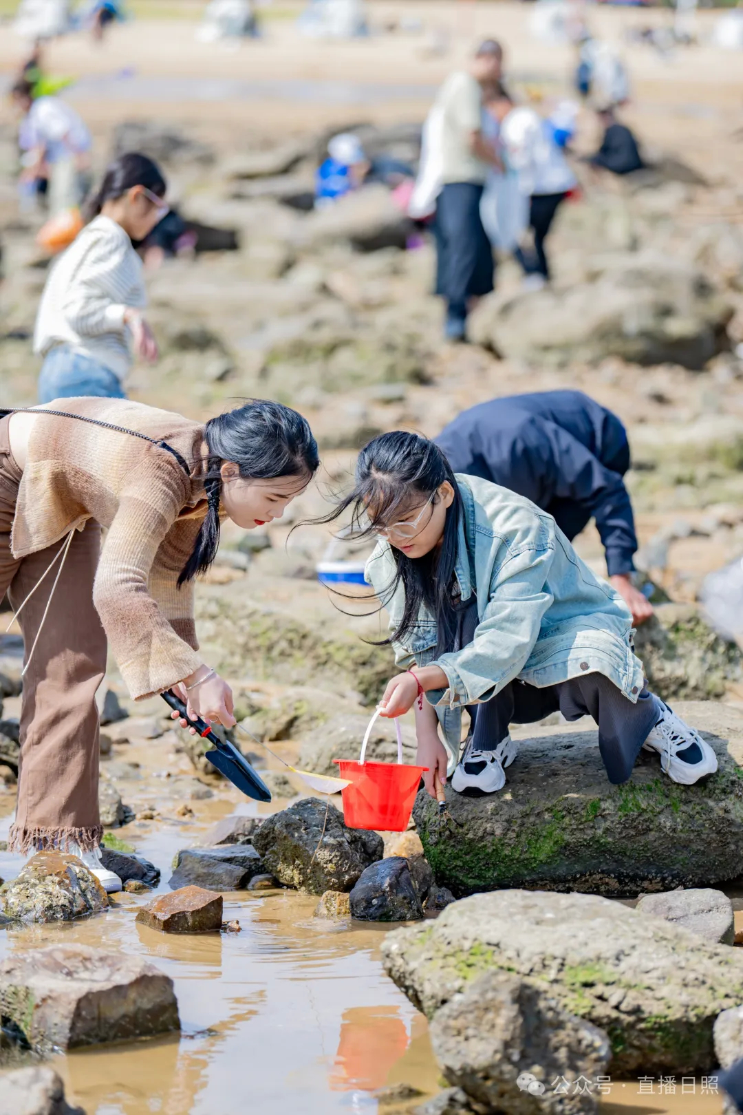 在日照，找到“松弛感”！