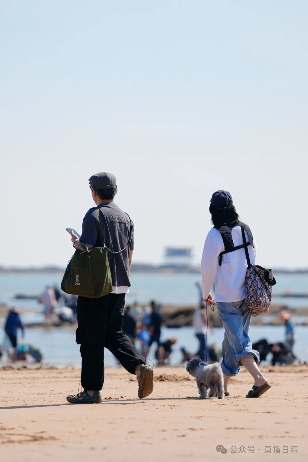 壮观！落大潮，日照再现万人赶海！