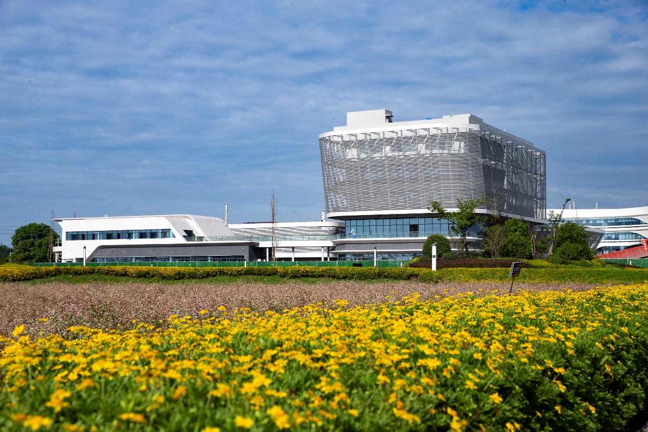 川种邛芯——成都邛崃加快建设西南种业“硅谷”