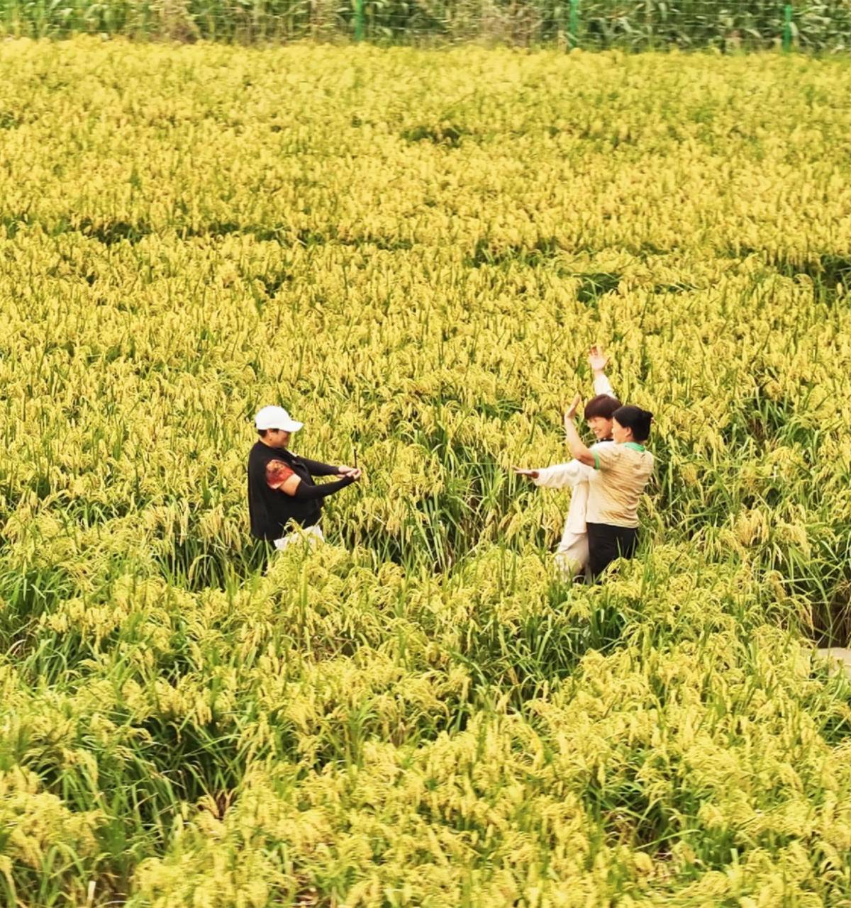 干涸40多年的滹沱河，何以复流