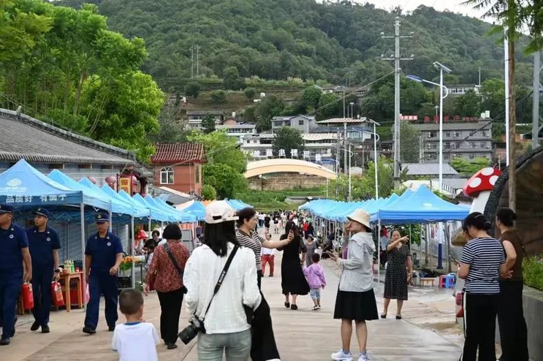 【奋进强国路 阔步新征程】云南省普洱市思茅区：乡村在希望的沃土上“蝶变”