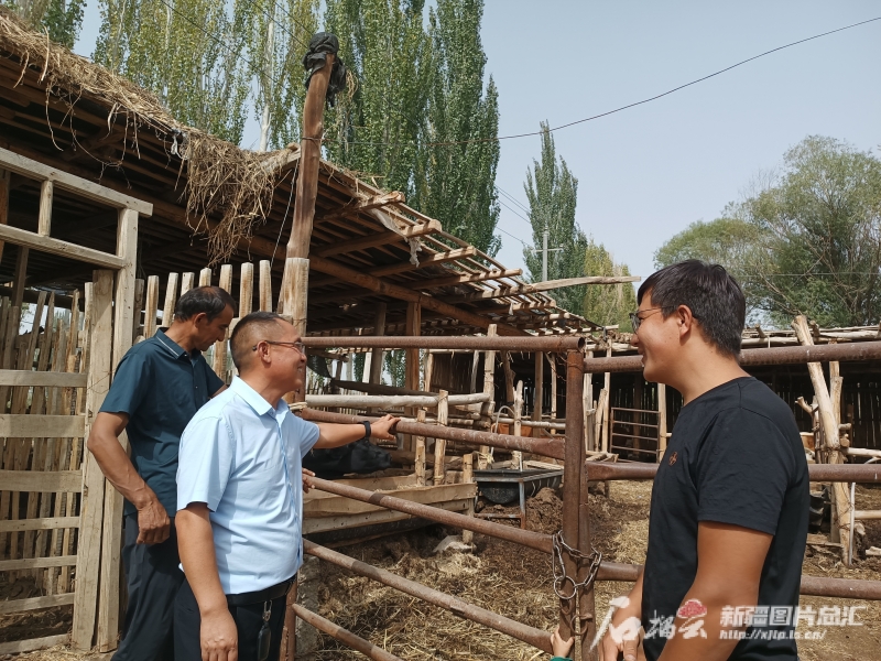 石榴花开别样红丨“我们共饮一渠水，就应互帮互助”