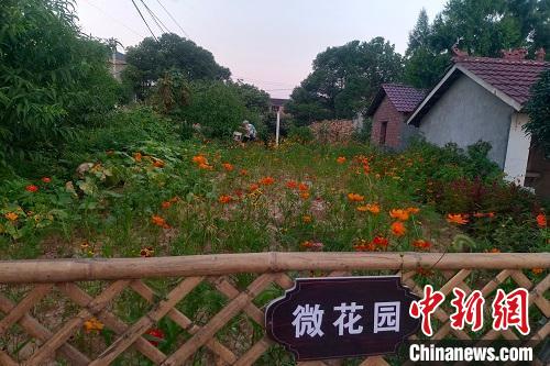 种得“百花”酿成蜜 湖南溆浦乡村打造振兴“花路”