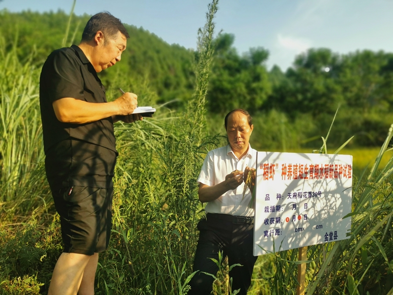 小切口融入大治理 成都市关工委以绣花功夫为基层社会治理画卷添彩