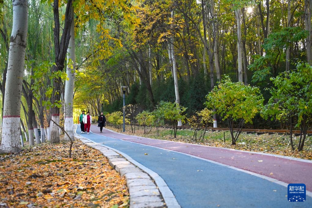 新时代中国调研行之看区域·西部篇｜宁夏银川：塞上江南生态美