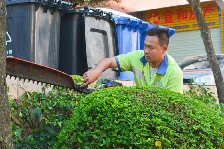 世界环卫日 | 城市“美容师”：用汗水守护城市“颜值”