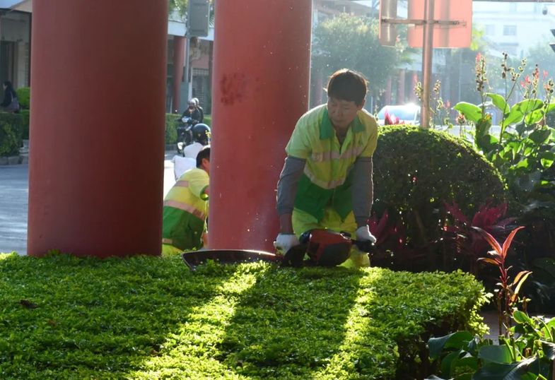 世界环卫日 | 城市“美容师”：用汗水守护城市“颜值”