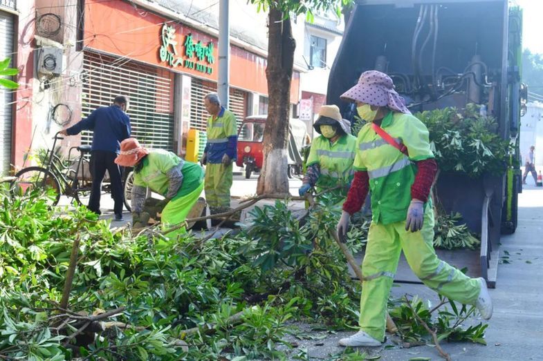 世界环卫日 | 城市“美容师”：用汗水守护城市“颜值”