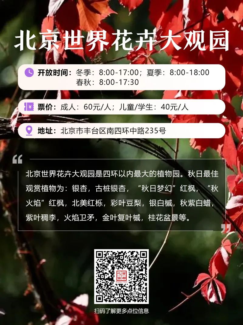 【京城赏秋指南】快来开启北京秋日调色盘！