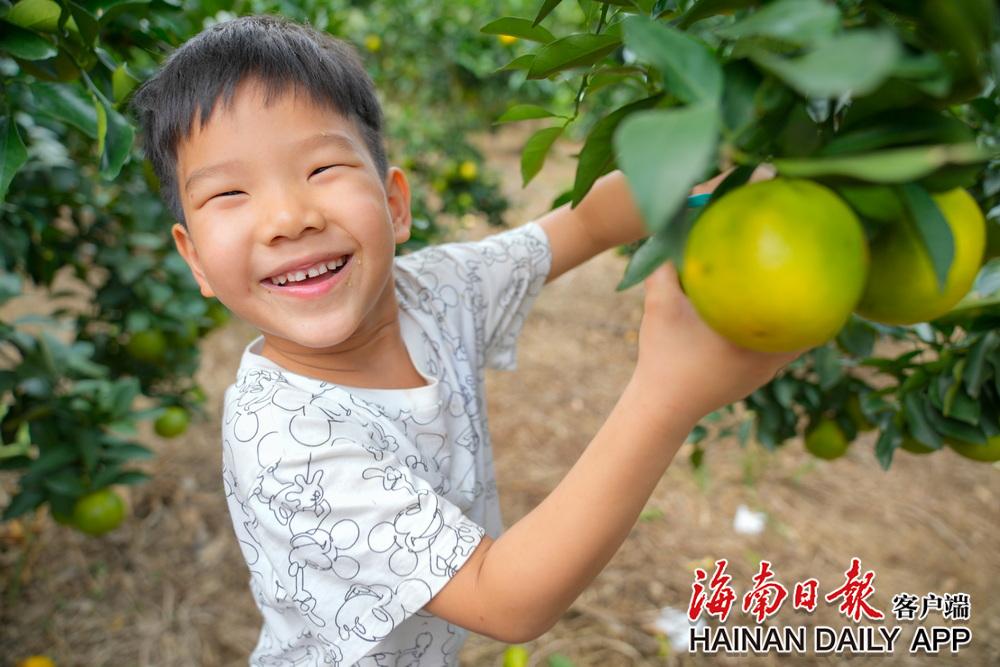 “发现海南大不同”第五期活动沿着环岛旅游公路探寻海南味