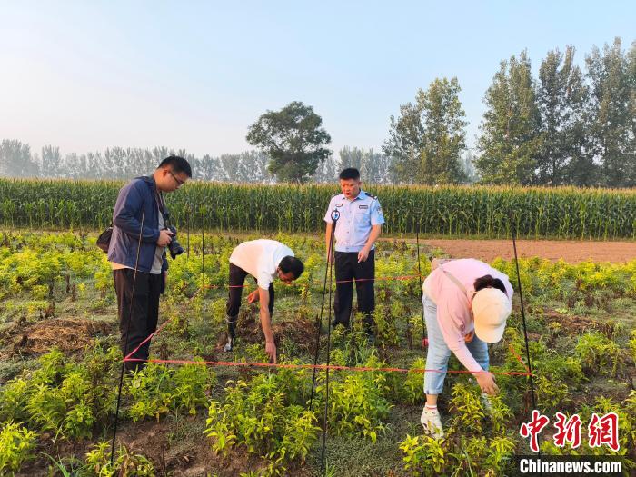 江西共青城警方侦破销售伪劣中草药种子案