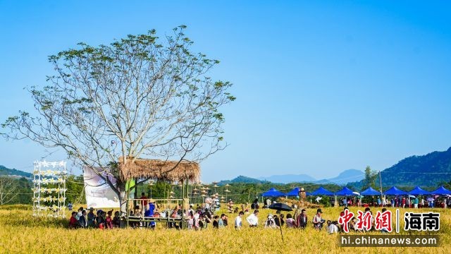 2024年“雨林与您”体验活动开幕式在白沙举行