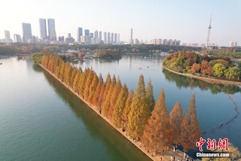 长沙冬日如画 “最美水上游步道”进入观赏期