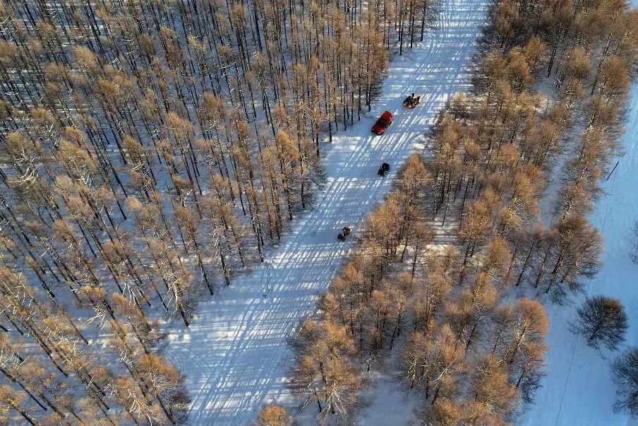 来阿尔山！开启穿越林海雪原的梦幻篇章