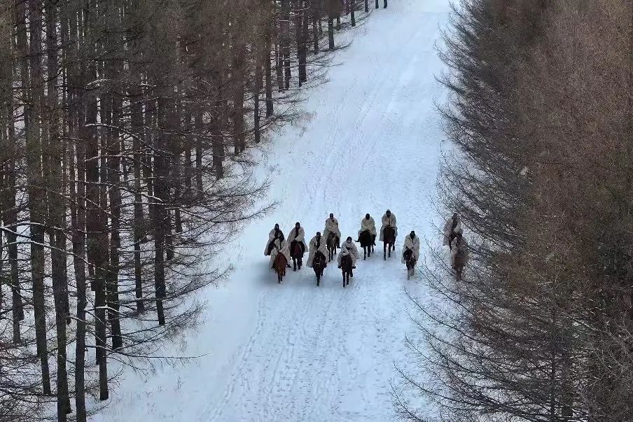 来阿尔山！开启穿越林海雪原的梦幻篇章