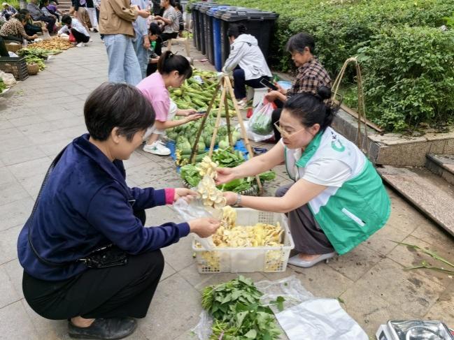 驻村书记助力重庆巫溪新田蹚出兴村富民路