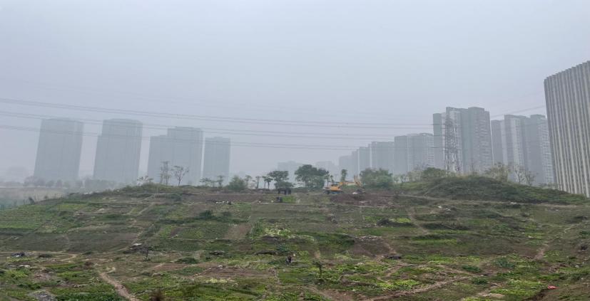 重庆江北：荒坡巧变“家门口的公园”