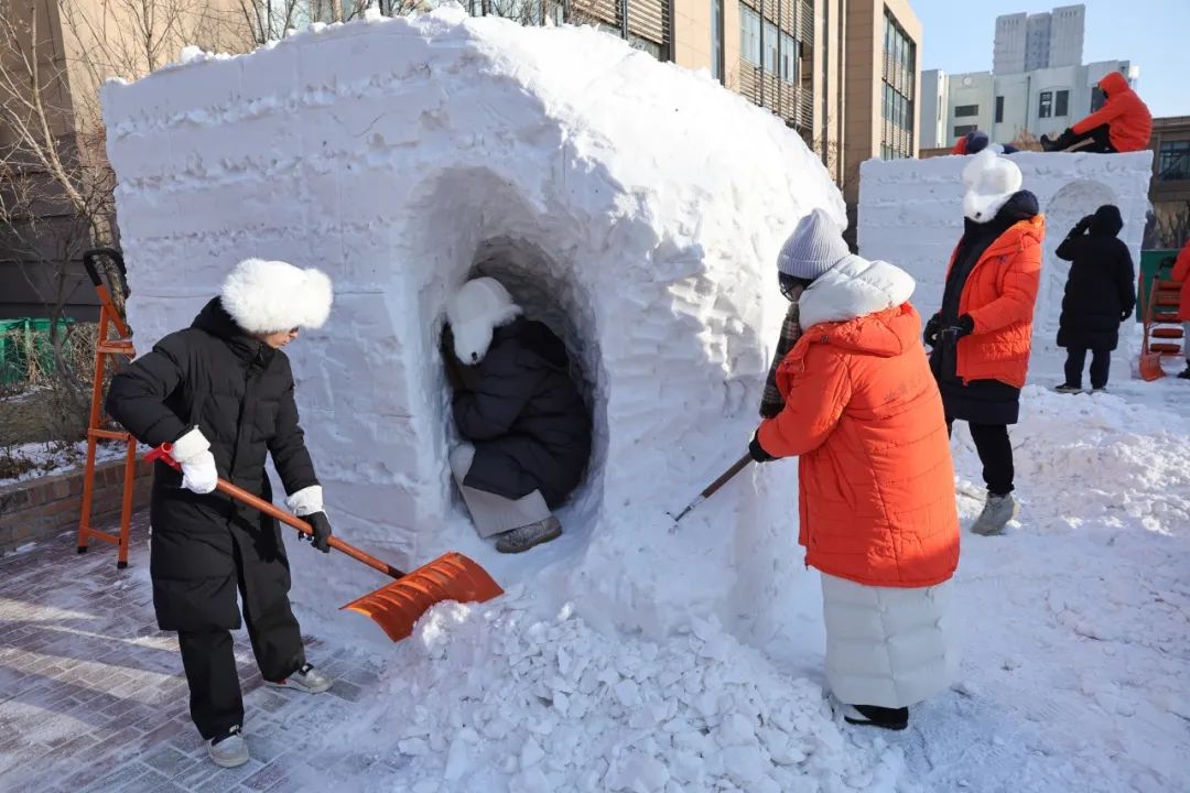 哈工大校园里的“雪博会”，来体验！