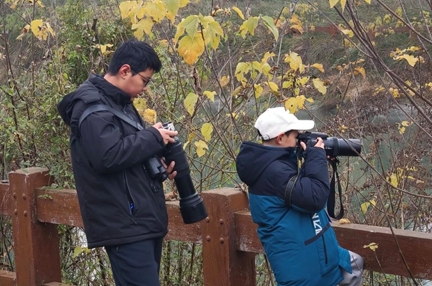 传播爱鸟护鸟知识 共同守护绿水青山