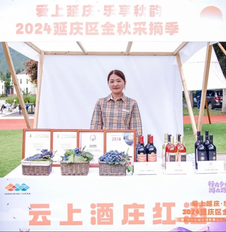 游在延庆丨延庆启动金秋采摘季 百场活动等您体验