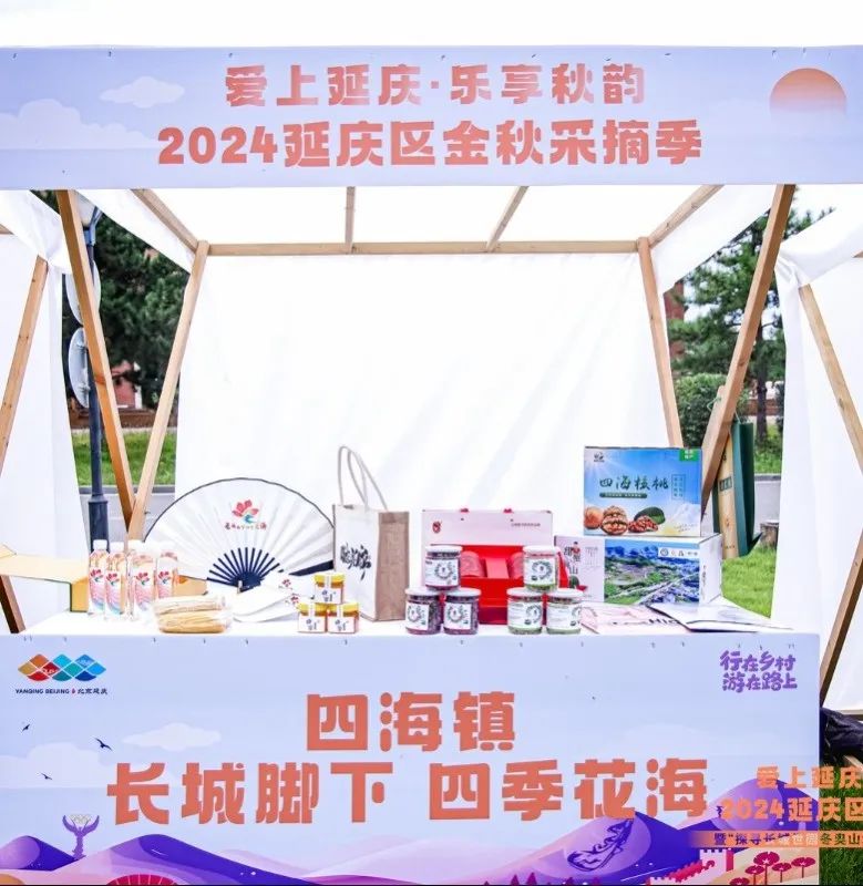 游在延庆丨延庆启动金秋采摘季 百场活动等您体验