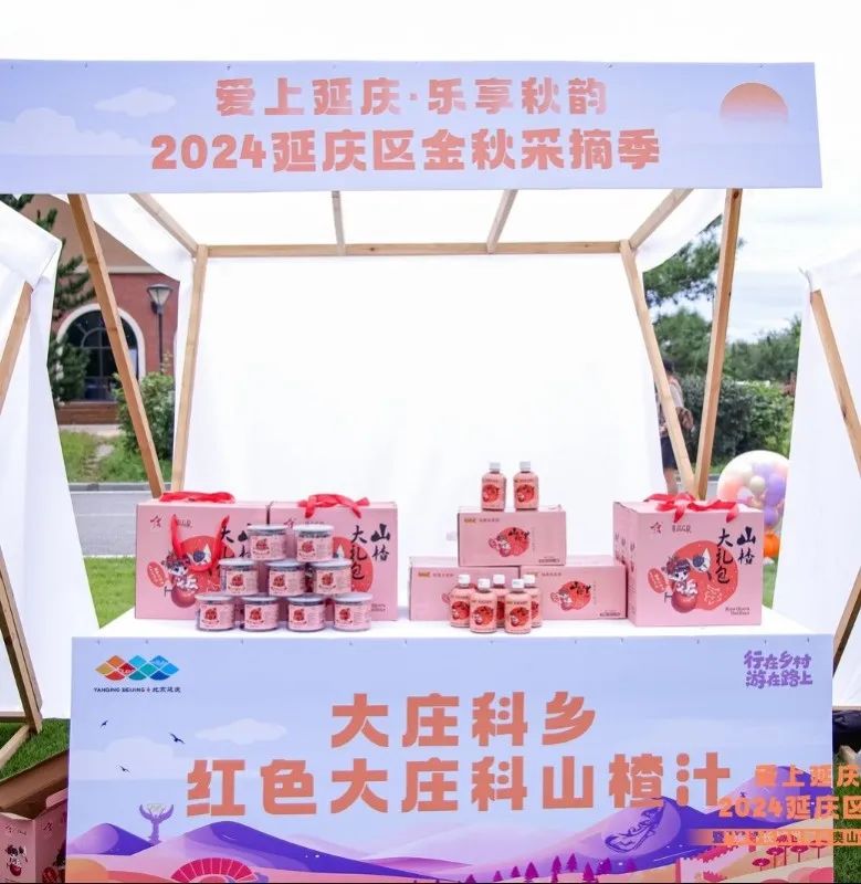 游在延庆丨延庆启动金秋采摘季 百场活动等您体验