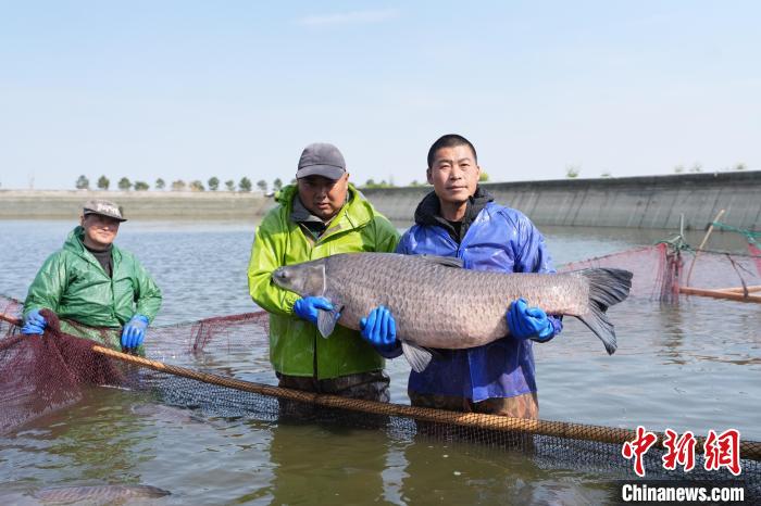 浙江今年产生25项“农业之最”纪录