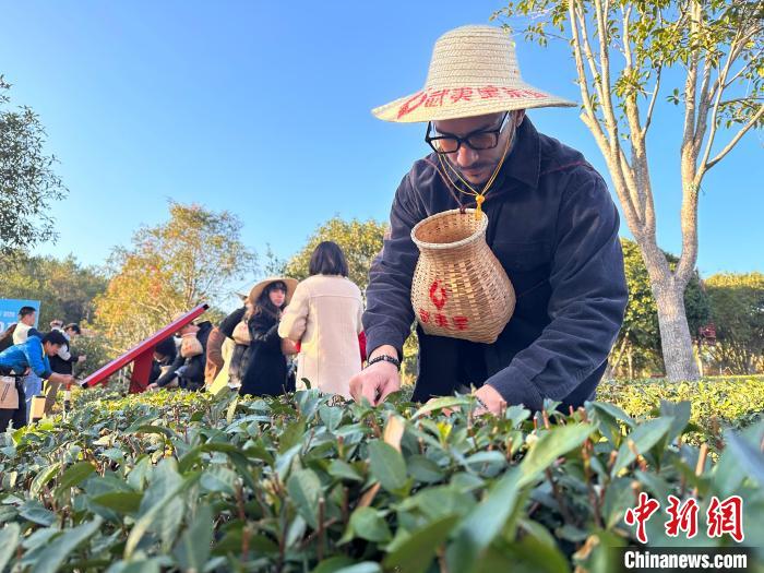 武夷山主景区2025年上半年面向海内外游客免门票