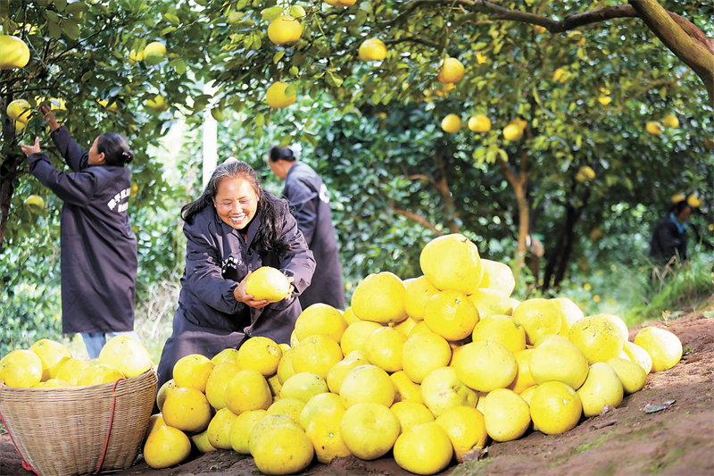 绿水逶迤去 青山相向开——重庆加快推进生态文明建设一线观察