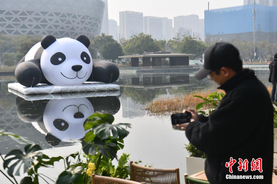 成都：大熊猫充气装置亮相新川之心公园