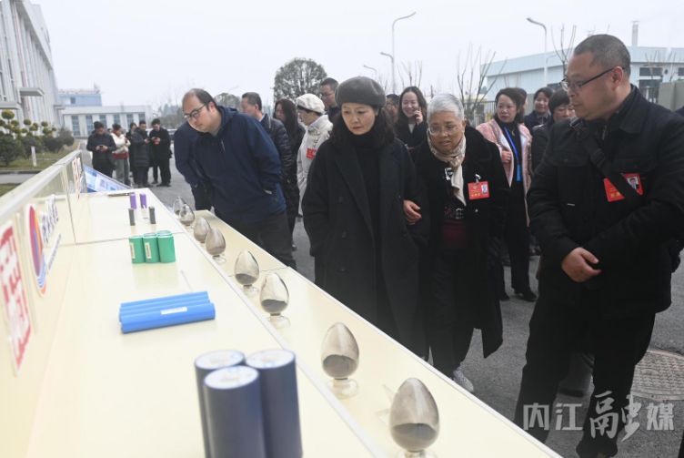 看发展，鼓干劲，献良策——四川省内江市八届政协委员集中视察活动侧记