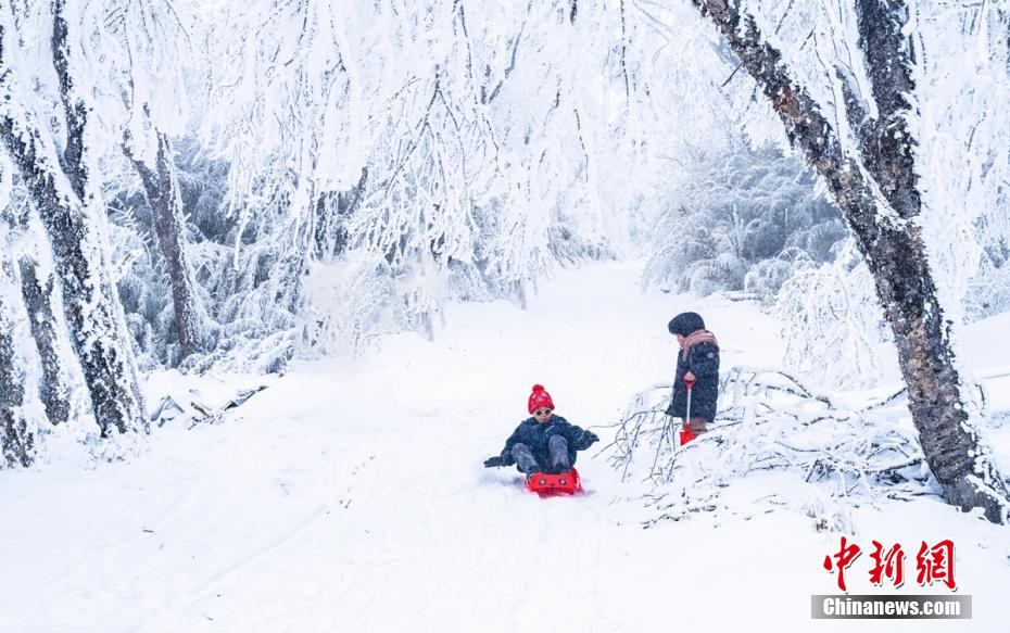 四川石棉：王岗坪雪景宛若童话世界