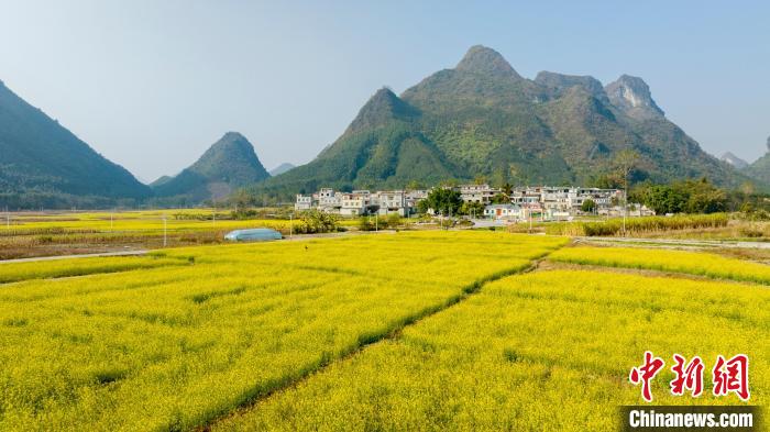 广西代表委员热议乡村振兴“青春力量” 建言拓展青年交流渠道