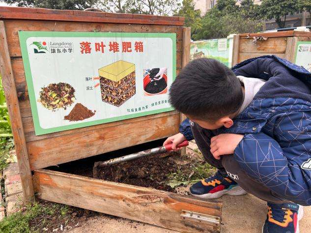 南宁市青秀区埌东小学：以劳养德，点亮成长底色