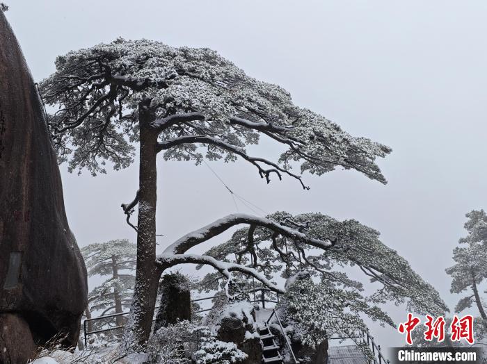 安徽黄山风景区银装素裹美景如画