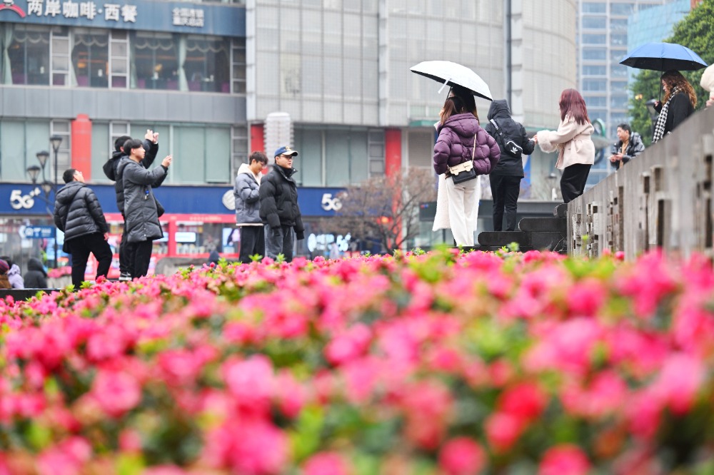 图片新闻｜蛇年首场寒潮来袭！重庆市开启降温降雨模式