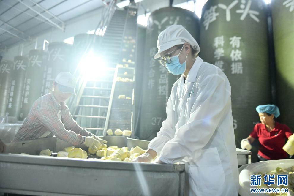 好山好水孕育柳州味道，工业基因铸就百亿产业——透过《舌尖上的中国（第四季）》看柳州螺蛳粉产业