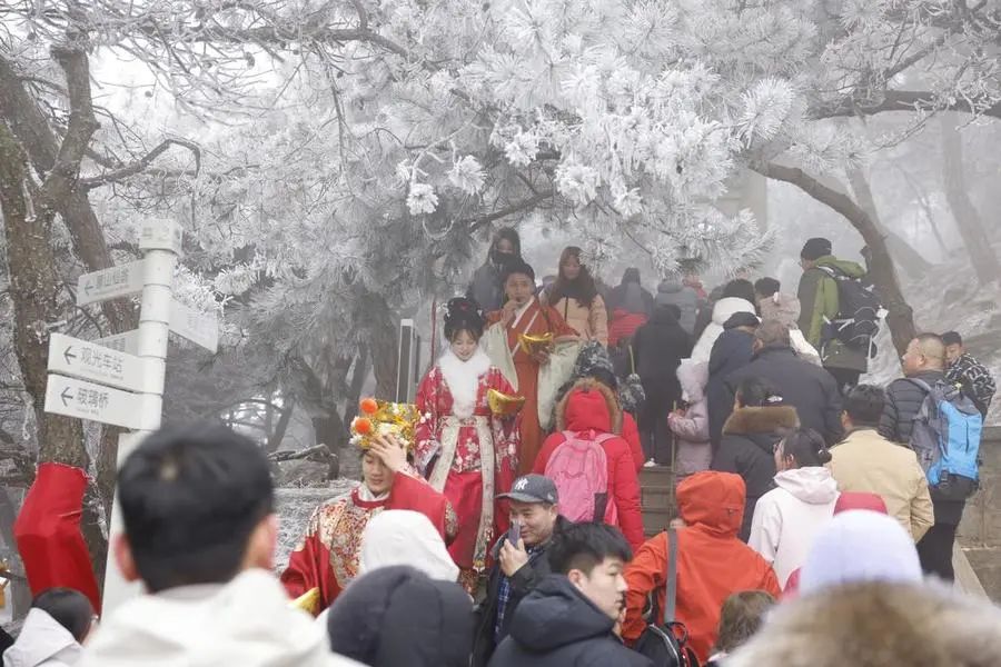 冰雪经济升温，山东“冷资源”如何产生“热效应”？