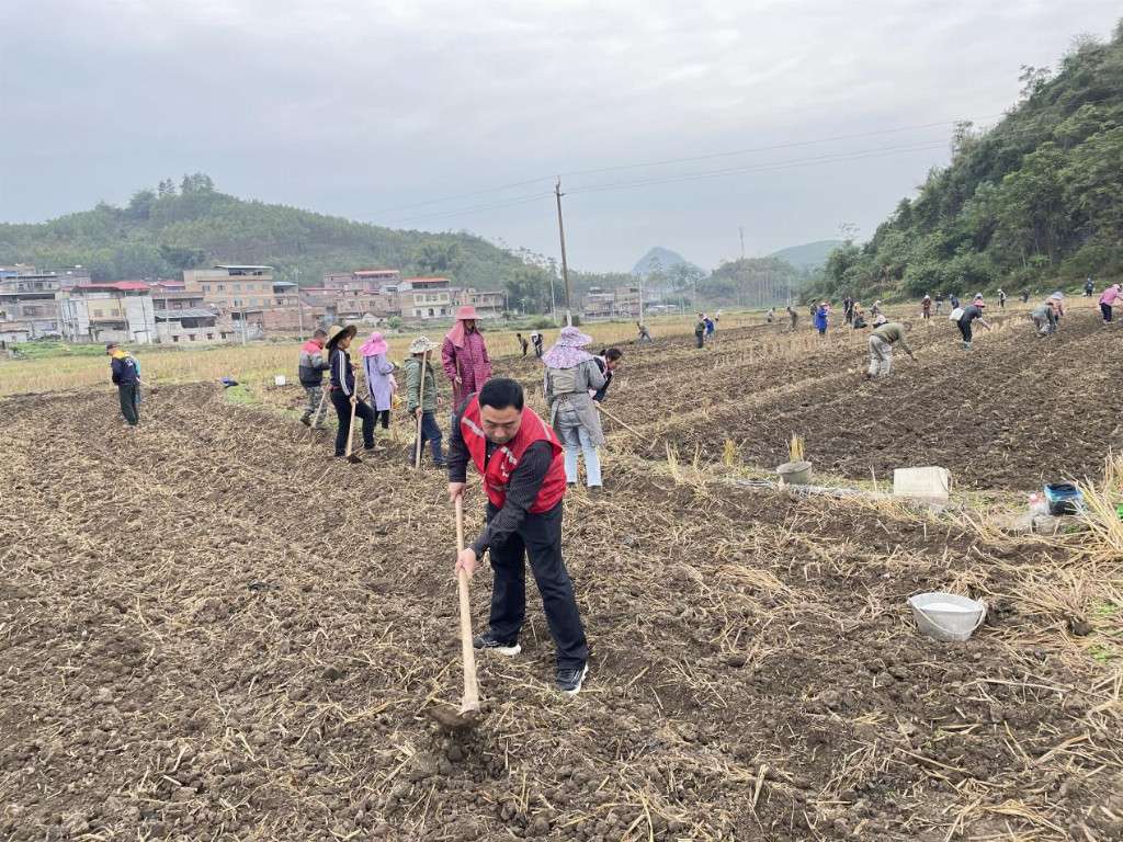 以初心为笔，绘就乡村振兴新画卷