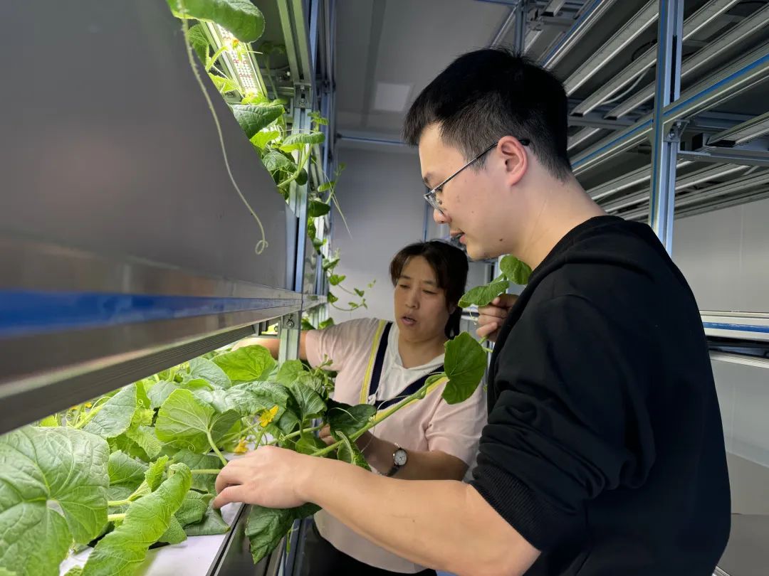 北大荒农业股份七星分公司吹响新征程号角 在大基地大产业大民生上聚力攻坚