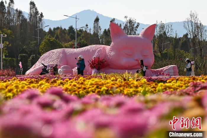 昆明莫奈花园春景如画醉游人